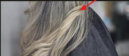 Transición e integración de canas